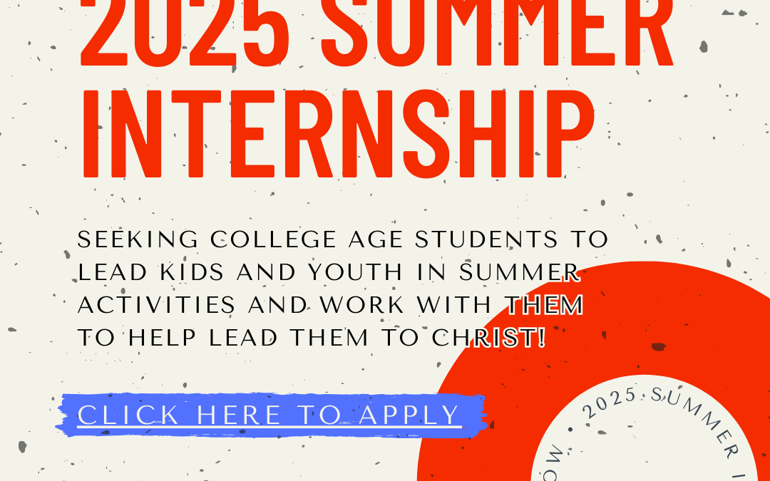 Summer Internship 2025